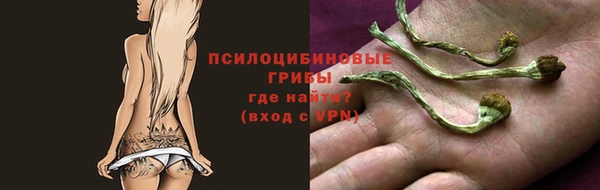 крисы Балахна