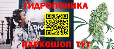 молекула духа Заводоуковск