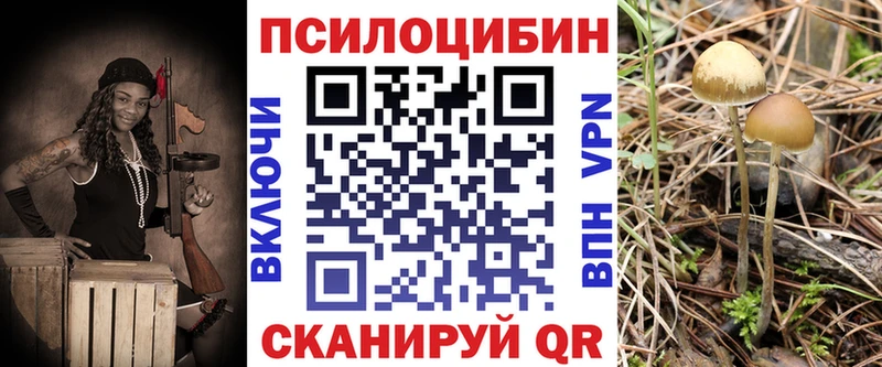 Псилоцибиновые грибы мицелий  Краснокаменск 